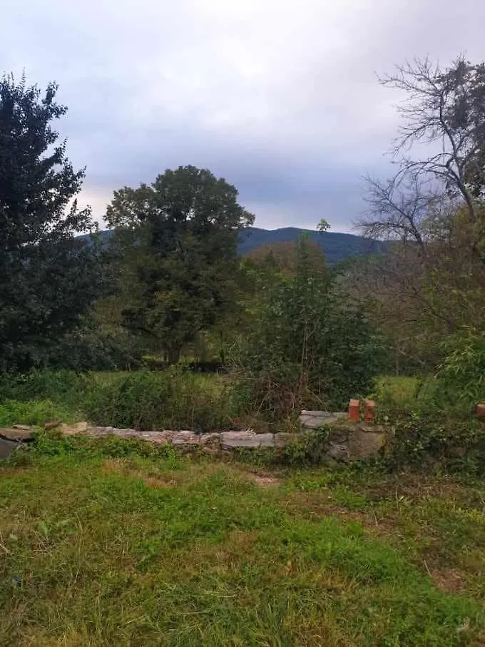 Apartment Bel Appartement Saleich Frankreich